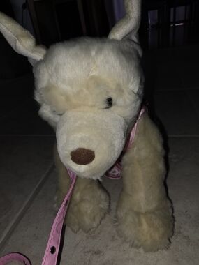 Build-A-Bear Cream Plush Dog  Pink Leash & 2 Pc Outfit $43 EUC